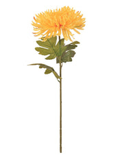 FUJI MUM YELLOW
